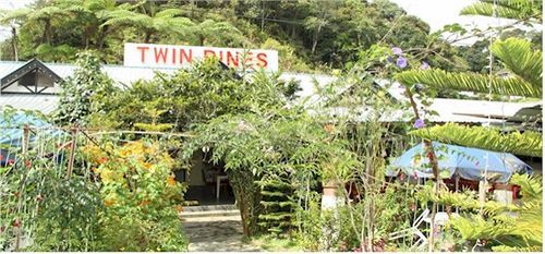 Rumah tetamu Twin Pines Cameron Highlands