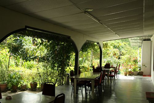 Rumah tetamu Twin Pines