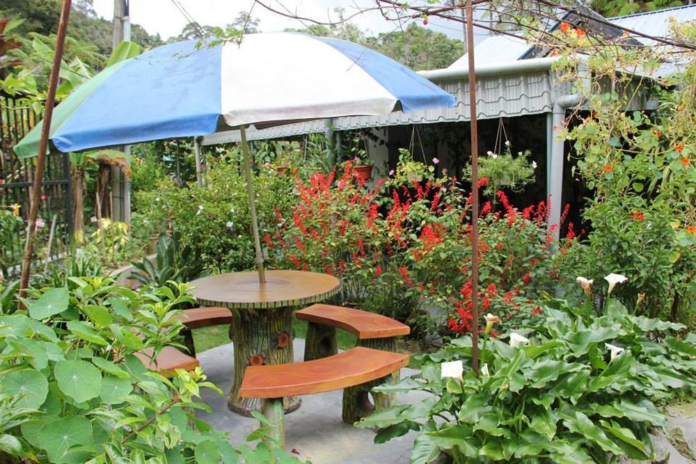 Twin Pines Cameron Highlands