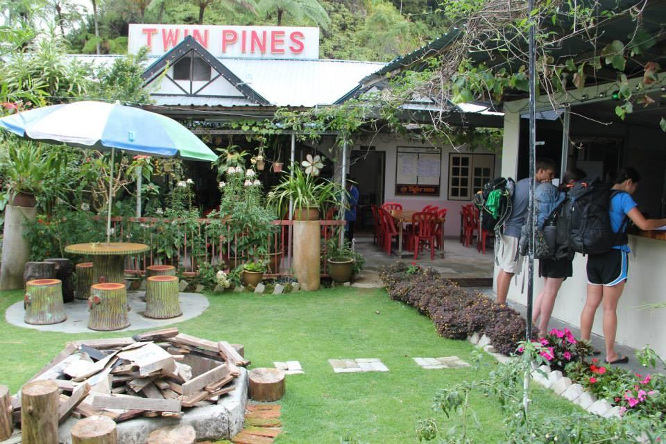 Twin Pines