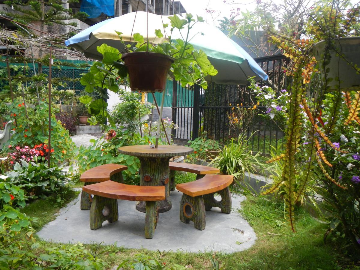 Rumah tetamu Twin Pines