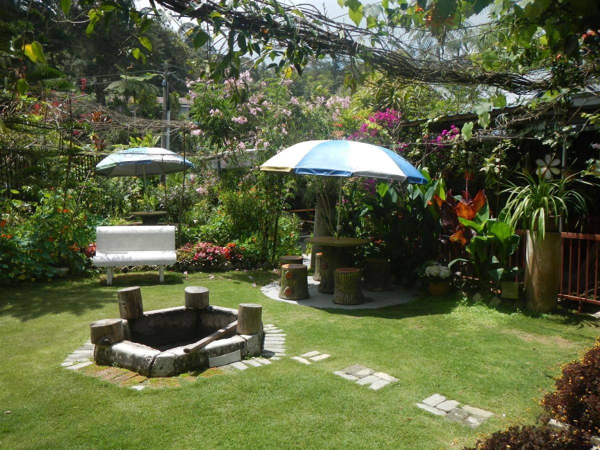 Twin Pines Rumah tetamu