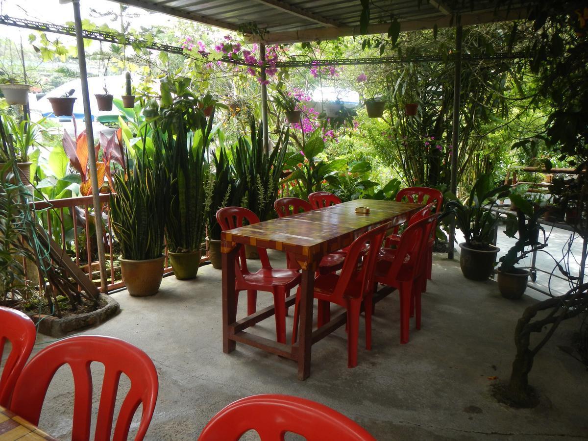 Rumah tetamu Twin Pines