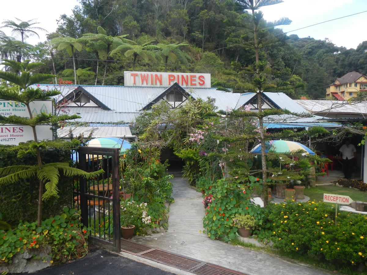 Twin Pines Cameron Highlands