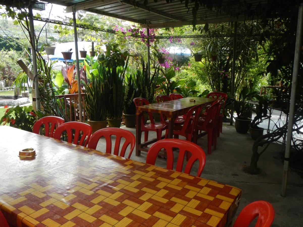 Twin Pines * Cameron Highlands