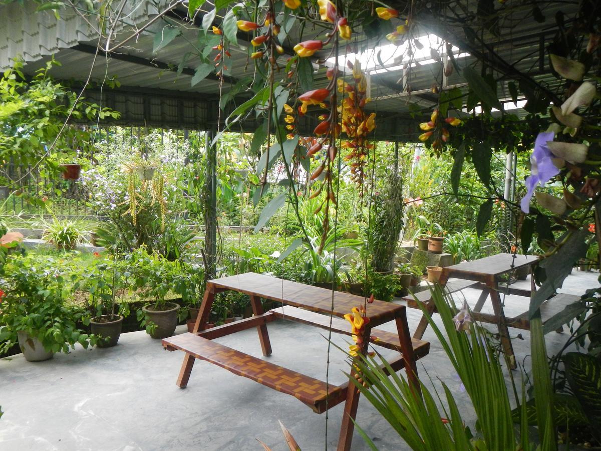 Twin Pines * Cameron Highlands